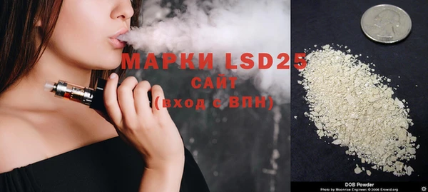 ГАЛЛЮЦИНОГЕННЫЕ ГРИБЫ Белокуриха