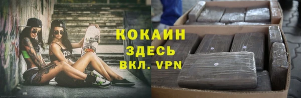 ГАЛЛЮЦИНОГЕННЫЕ ГРИБЫ Белокуриха