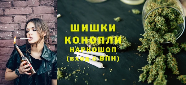 ГАЛЛЮЦИНОГЕННЫЕ ГРИБЫ Белокуриха
