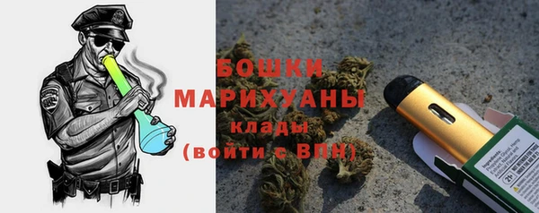 ГАЛЛЮЦИНОГЕННЫЕ ГРИБЫ Белокуриха
