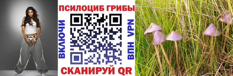Псилоцибиновые грибы GOLDEN TEACHER Горняк
